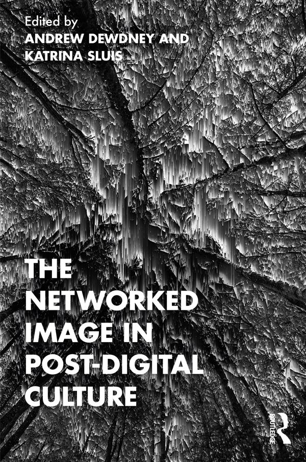 The Networked Image in Post-Digital Culture by Andrew Dewdney, Katrina Sluis