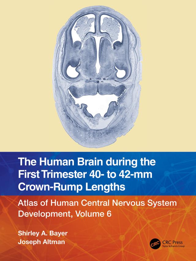 The Human Brain during the First Trimester 40- to 42-mm Crown-Rump Lengths by Joseph Altman, Shirley A. Bayer