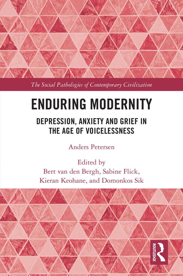 Enduring Modernity by Bert van den Bergh, Domonkos Sik, Kieran Keohane, Sabine Flick