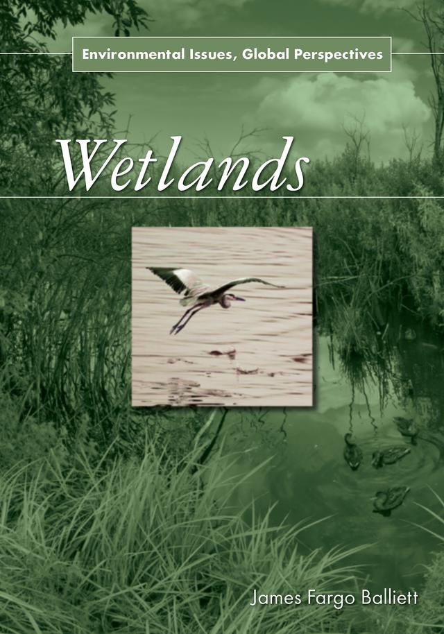 Wetlands by James Fargo Balliett
