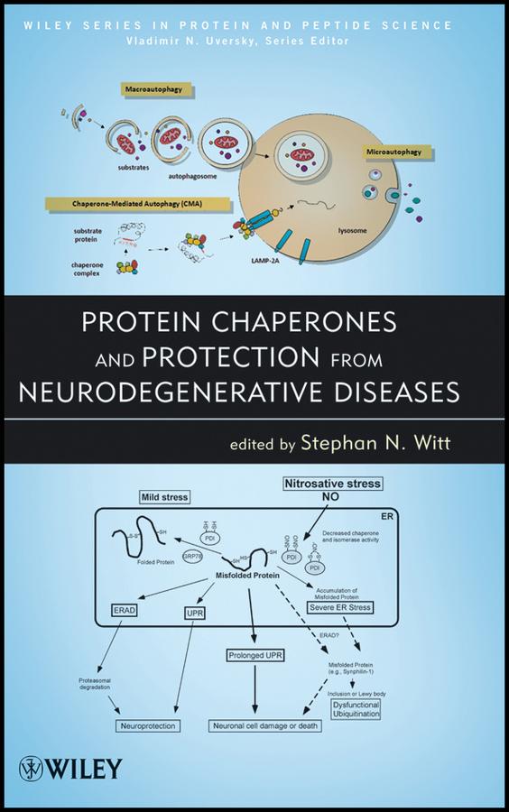 Protein Chaperones and Protection from Neurodegenerative Diseases by Stephan N. Witt, Vladimir Uversky