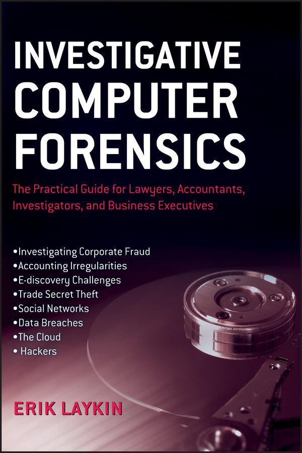 Investigative Computer Forensics by Erik Laykin