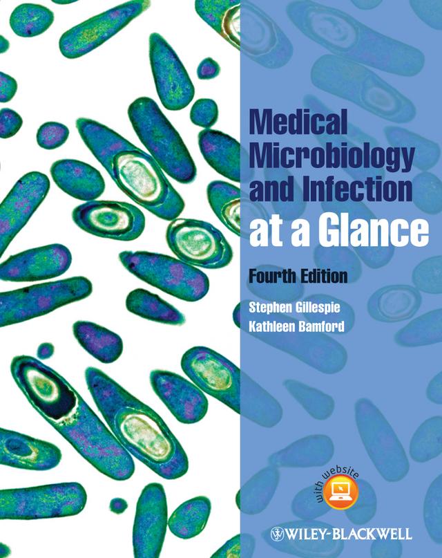 Medical Microbiology and Infection at a Glance by Kathleen B. Bamford, Stephen H. Gillespie
