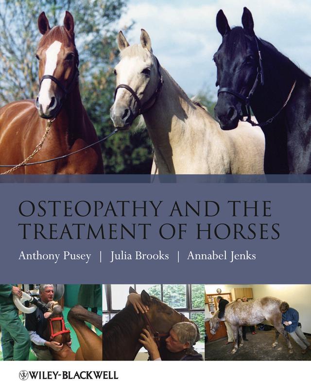 Osteopathy and the Treatment of Horses by Annabel Jenks, Anthony Pusey, Julia Brooks