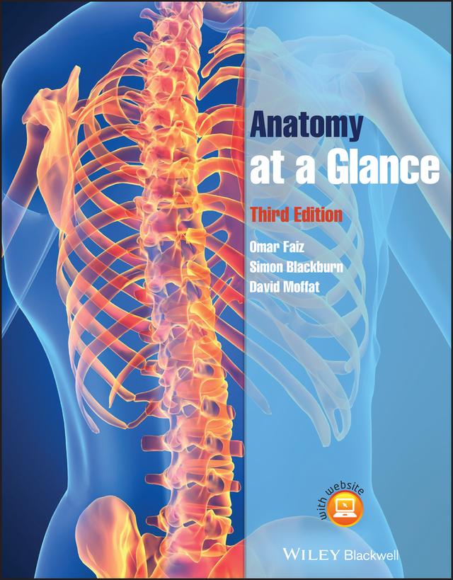 Anatomy at a Glance by David Moffat, Omar Faiz, Simon Blackburn