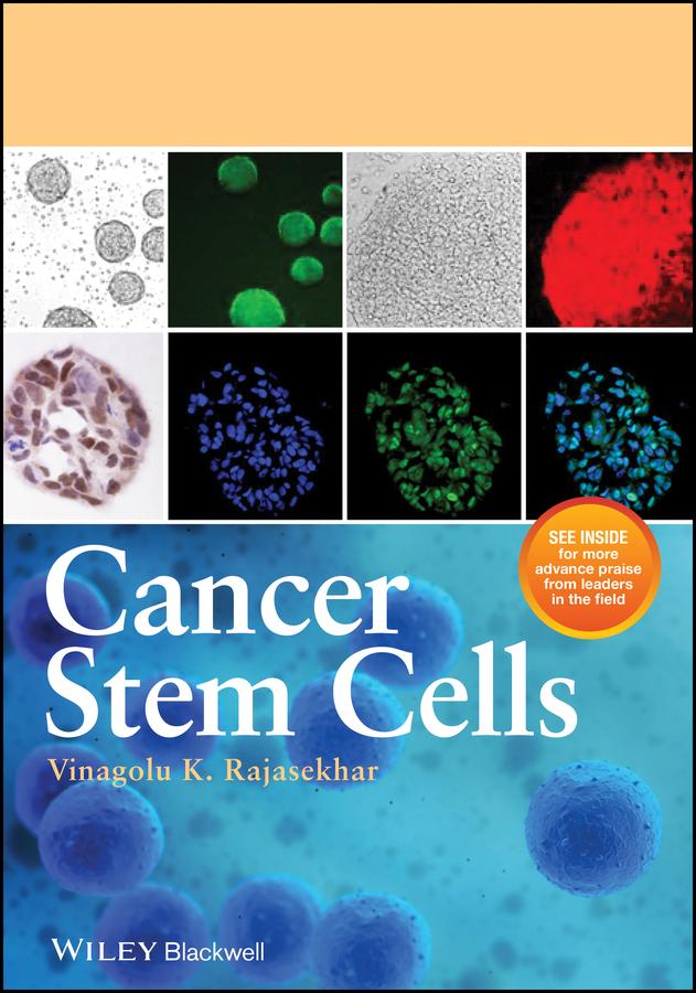 Cancer Stem Cells by Vinagolu K. Rajasekhar