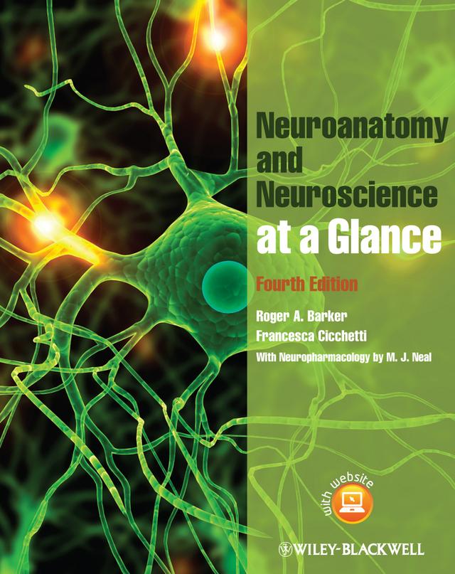 Neuroanatomy and Neuroscience at a Glance by Francesca Cicchetti, Roger A. Barker
