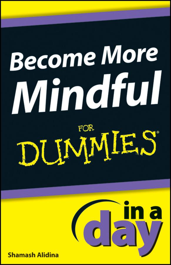 Become More Mindful In A Day For Dummies by Shamash Alidina