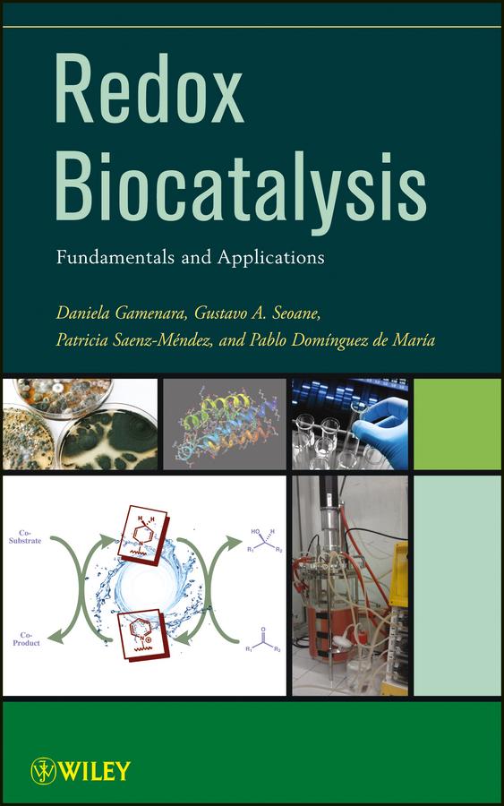 Redox Biocatalysis by Daniela Gamenara, Gustavo Seoane, Pablo Domínguez de María, Patricia Saenz Méndez