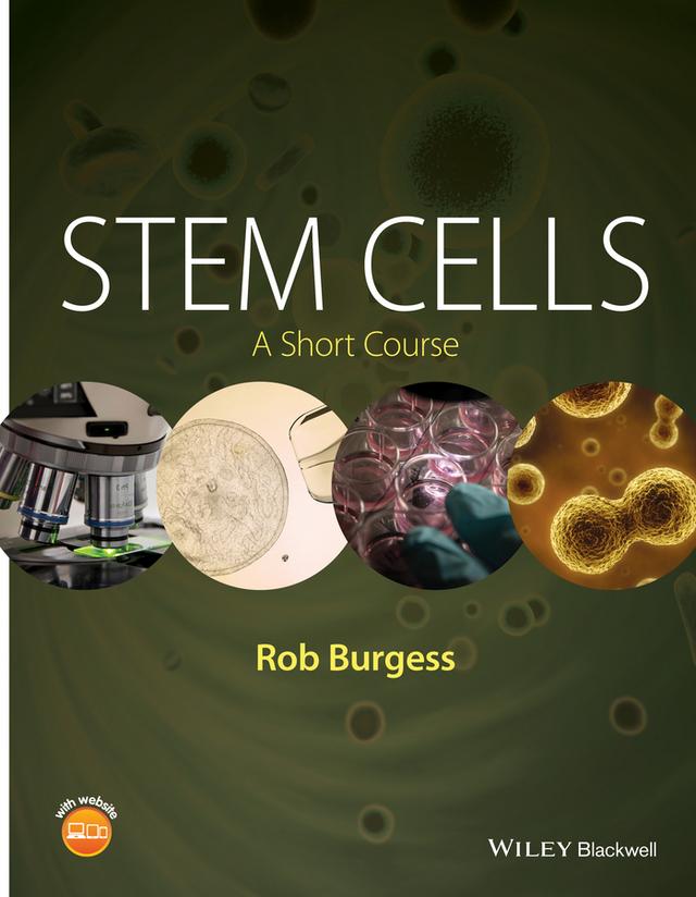 Stem Cells by Rob Burgess