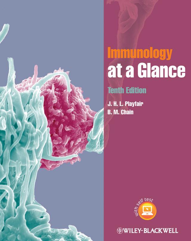 Immunology at a Glance by B. M. Chain, J. H. L. Playfair