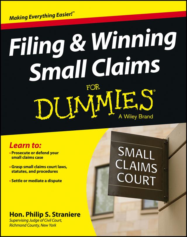 Filing and Winning Small Claims For Dummies by Judge Philip Straniere