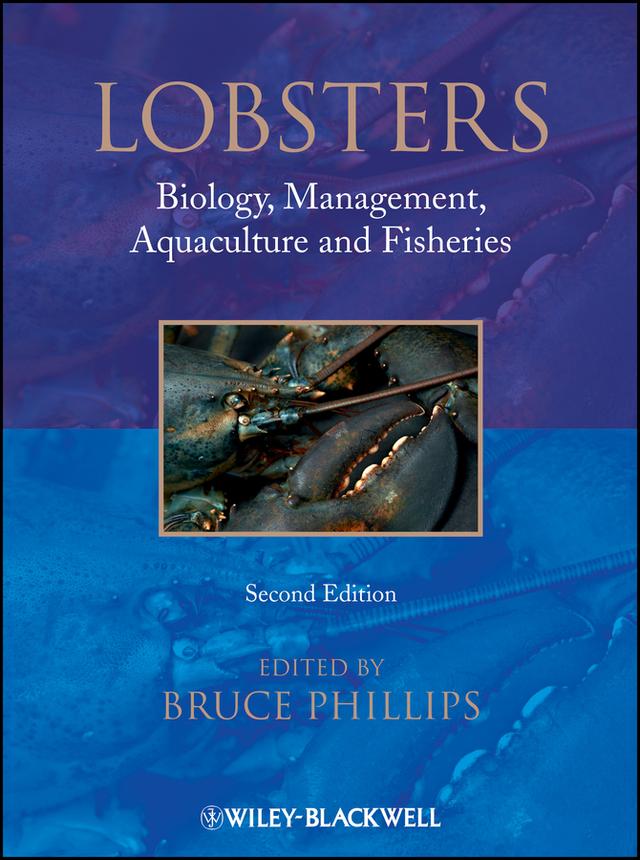 Lobsters by Bruce Phillips