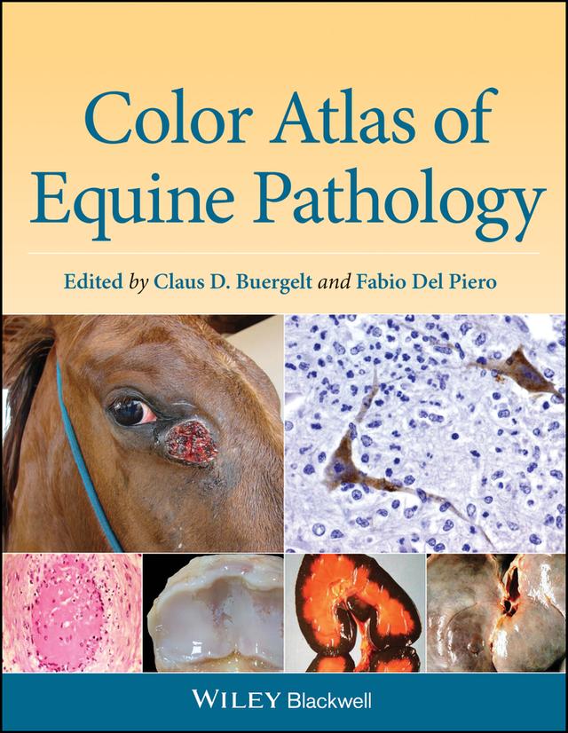 Color Atlas of Equine Pathology by Claus D. Buergelt, Fabio Del Piero