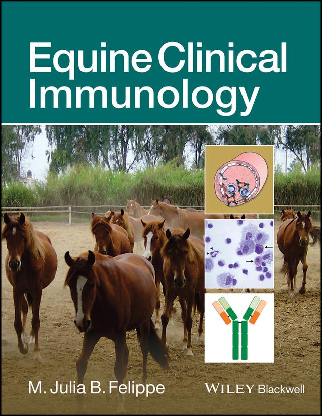 Equine Clinical Immunology by M. Julia B. Felippe