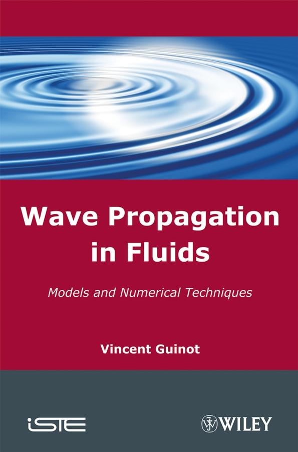 Wave Propagation in Fluids by Vincent Guinot