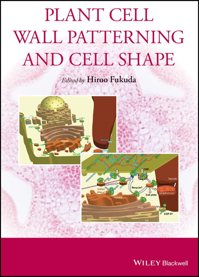 Plant Cell Wall Patterning and Cell Shape by Hiroo Fukuda