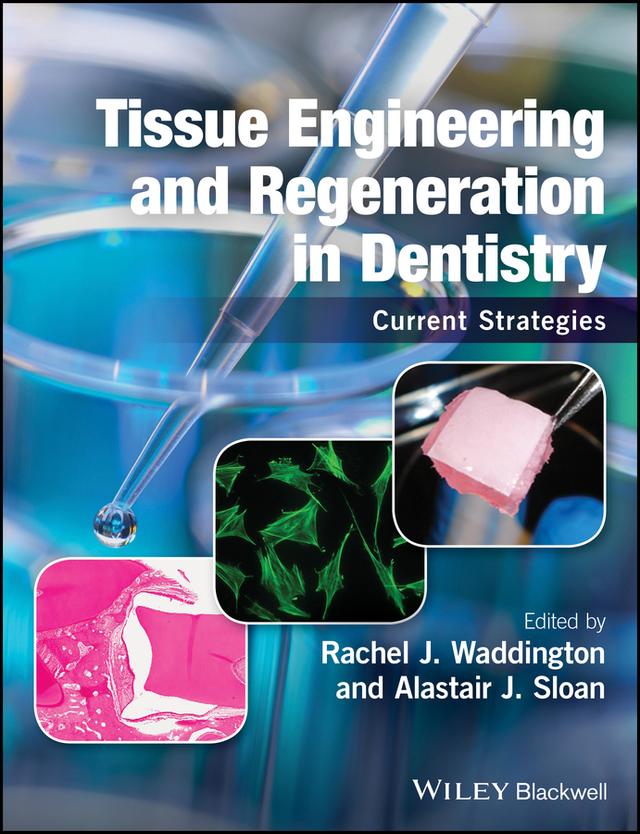 Tissue Engineering and Regeneration in Dentistry by Alastair J. Sloan, Rachel J. Waddington