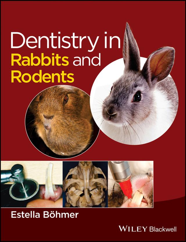 Dentistry in Rabbits and Rodents by Estella Böhmer