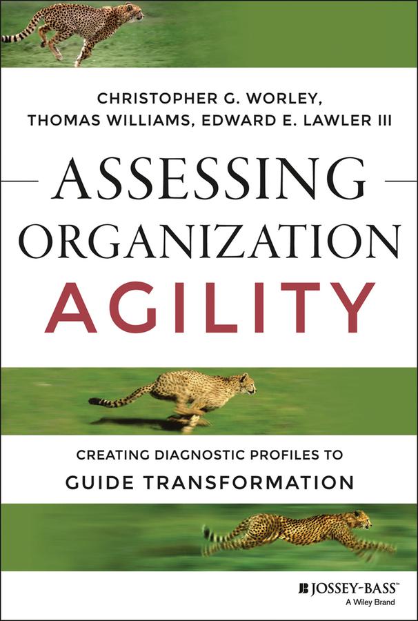 Assessing Organization Agility by Christopher G. Worley, Edward E. Lawler, III, Thomas D. Williams