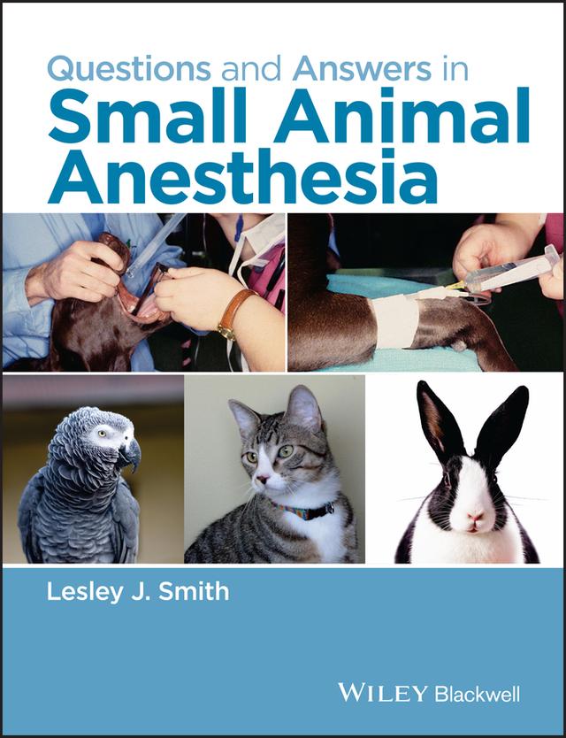Questions and Answers in Small Animal Anesthesia by Lesley J. Smith