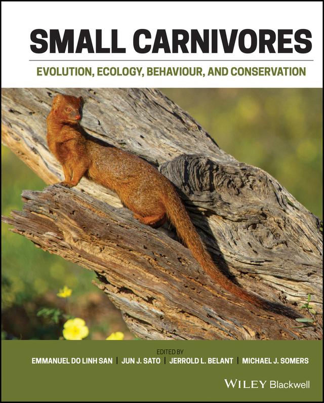 Small Carnivores by Emmanuel Do Linh San, Jerrold L. Belant, Jun J. Sato, Michael J. Somers