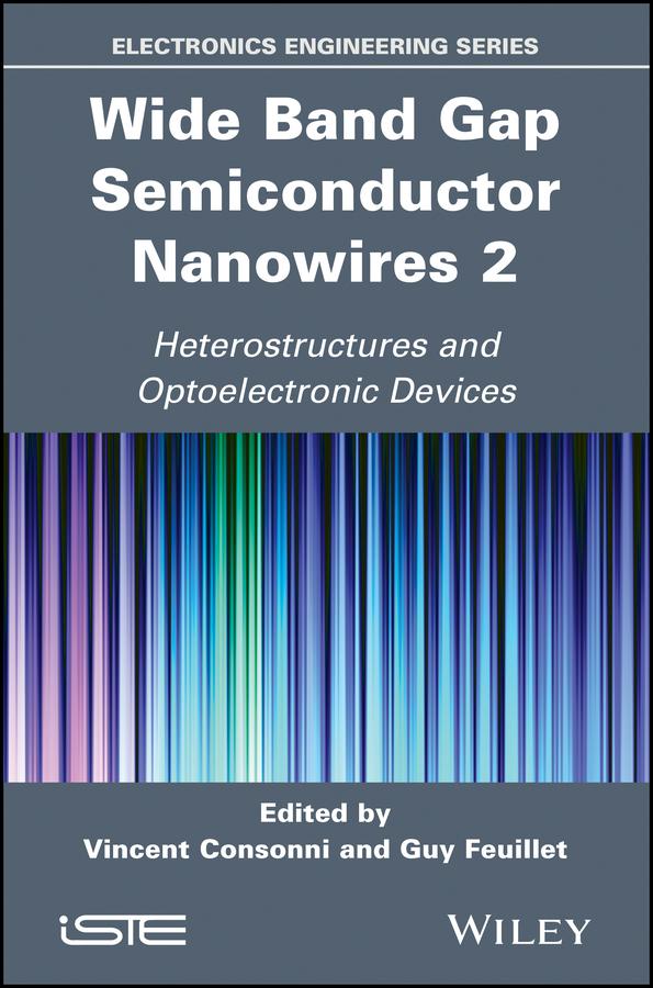 Wide Band Gap Semiconductor Nanowires 2 by Guy Feuillet, Robert Baptist, Vincent Consonni