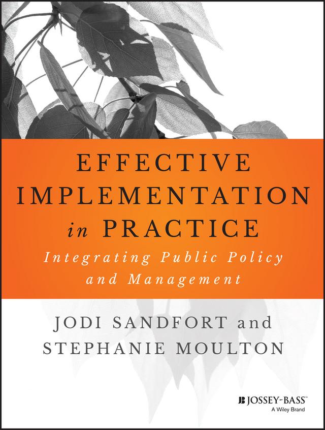 Effective Implementation In Practice by Jodi Sandfort, Stephanie Moulton