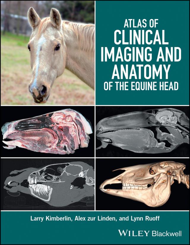 Atlas of Clinical Imaging and Anatomy of the Equine Head by Alex zur Linden, Larry Kimberlin, Lynn Ruoff