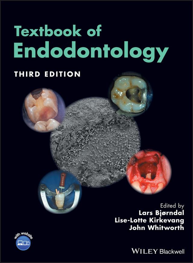 Textbook of Endodontology by John Whitworth, Lars Bjørndal, Lise-Lotte Kirkevang