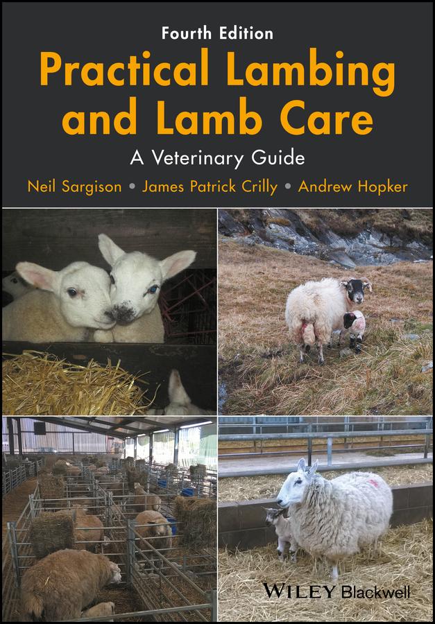 Practical Lambing and Lamb Care by Andrew Hopker, James Patrick Crilly, Neil Sargison