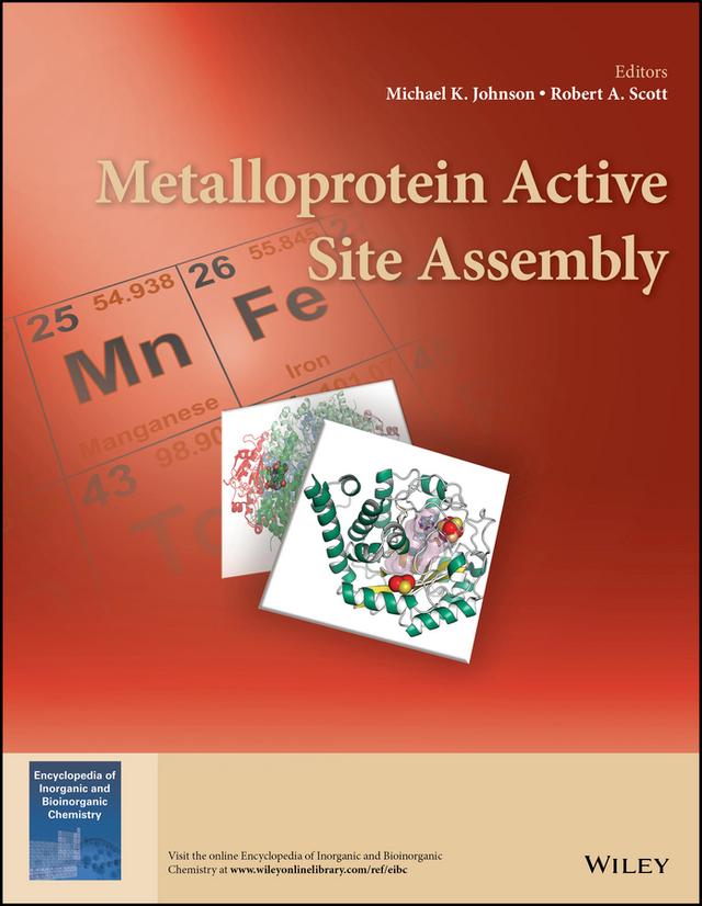 Metalloprotein Active Site Assembly by Michael K. Johnson, Robert A. Scott