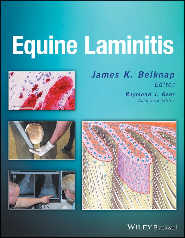 Equine Laminitis by James K. Belknap, Raymond J. Geor