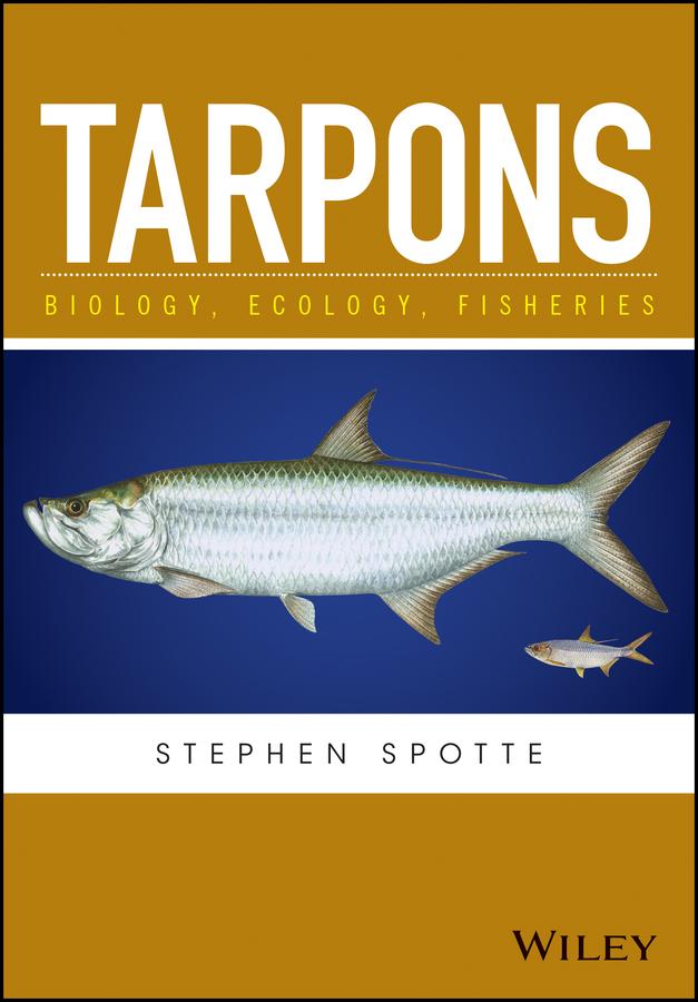 Tarpons by Stephen Spotte