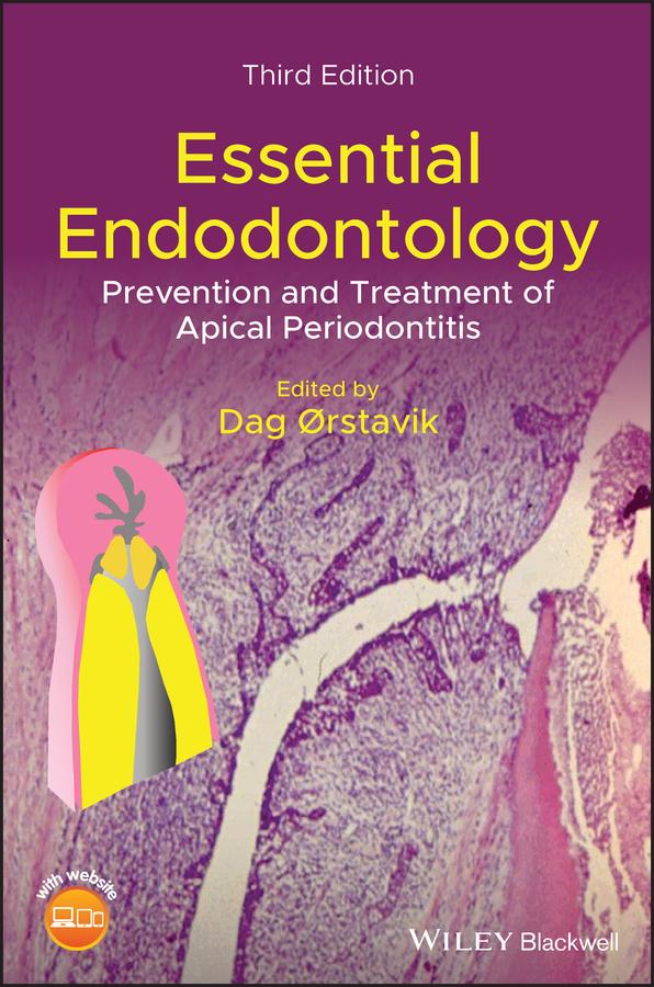 Essential Endodontology by Dag Orstavik
