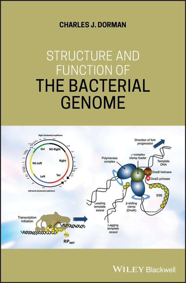 Structure and Function of the Bacterial Genome by Charles J. Dorman