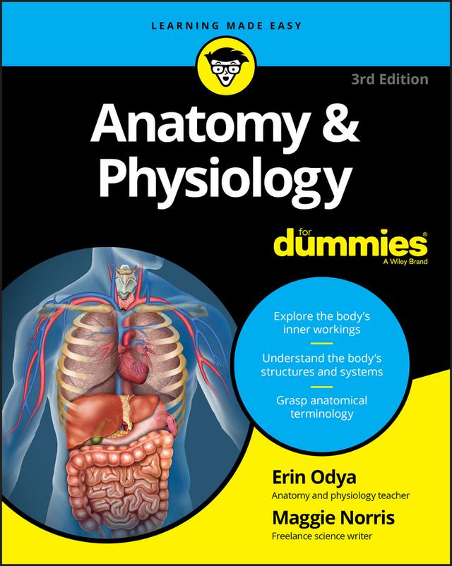 Anatomy & Physiology For Dummies by Erin Odya, Maggie A. Norris