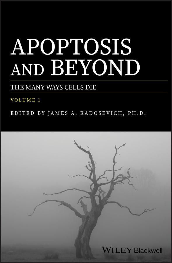 Apoptosis and Beyond by James A. Radosevich