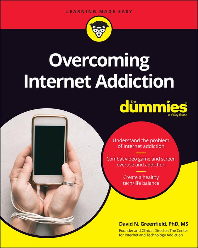 Overcoming Internet Addiction For Dummies by David N. Greenfield