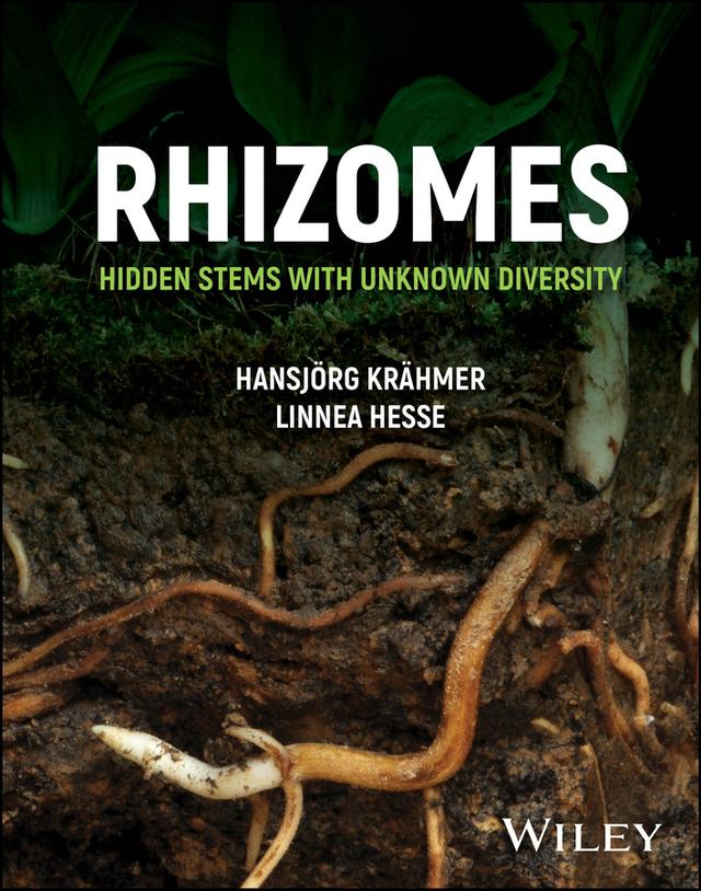 Rhizomes by Hansjoerg Kraehmer, Linnea Hesse
