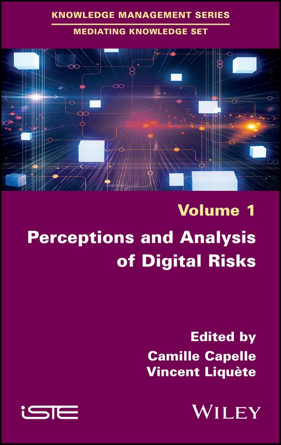 Perceptions and Analysis of Digital Risks by Camille Capelle, Vincent Liquete