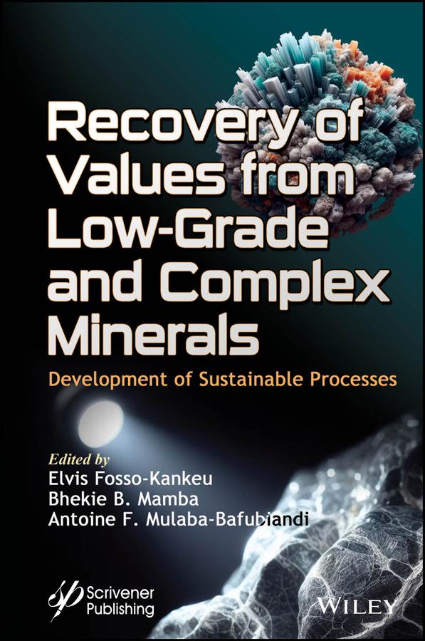 Recovery of Values from Low-Grade and Complex Minerals by Antoine F. Mulaba-Bafubiandi, Bhekie B. Mamba, Elvis Fosso-Kankeu