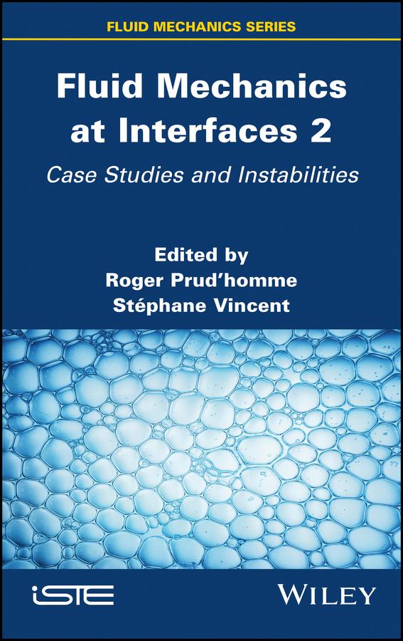 Fluid Mechanics at Interfaces 2 by Roger Prudhomme, Stephane Vincent
