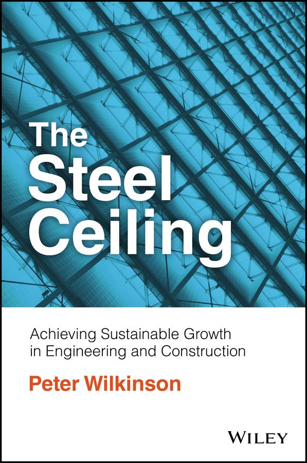 The Steel Ceiling by Peter Wilkinson