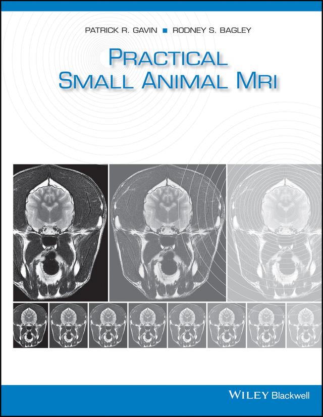 Practical Small Animal MRI by Patrick R. Gavin, Rodney S. Bagley