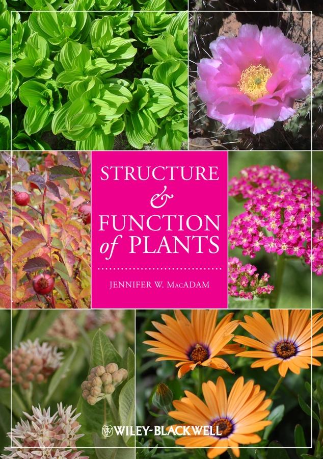 Structure and Function of Plants by Jennifer W. MacAdam