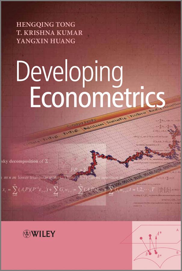 Developing Econometrics by Hengqing Tong, T. Krishna Kumar, Yangxin Huang