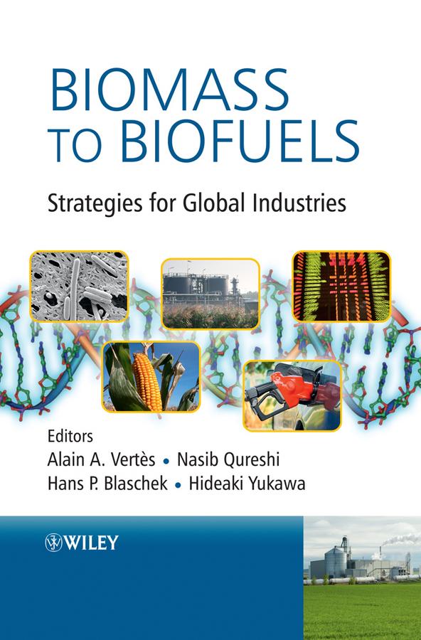 Biomass to Biofuels by Alain A. Vertes, Hans P. Blaschek, Hideaki Yukawa, Nasib Qureshi