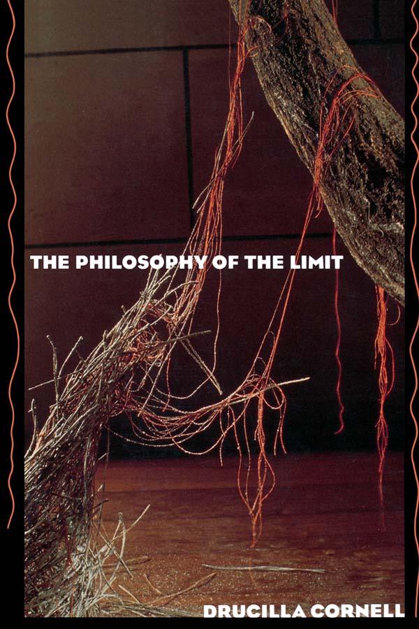 The Philosophy of the Limit by Drucilla Cornell