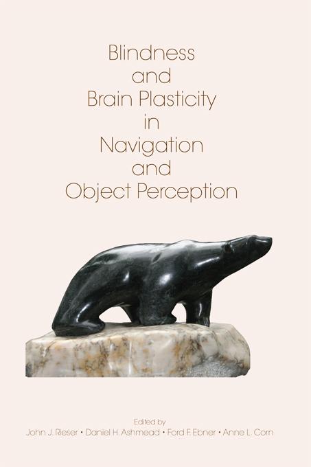 Blindness and Brain Plasticity in Navigation and Object Perception by Anne L. Corn, Daniel H. Ashmead, Ford Ebner, John J. Rieser